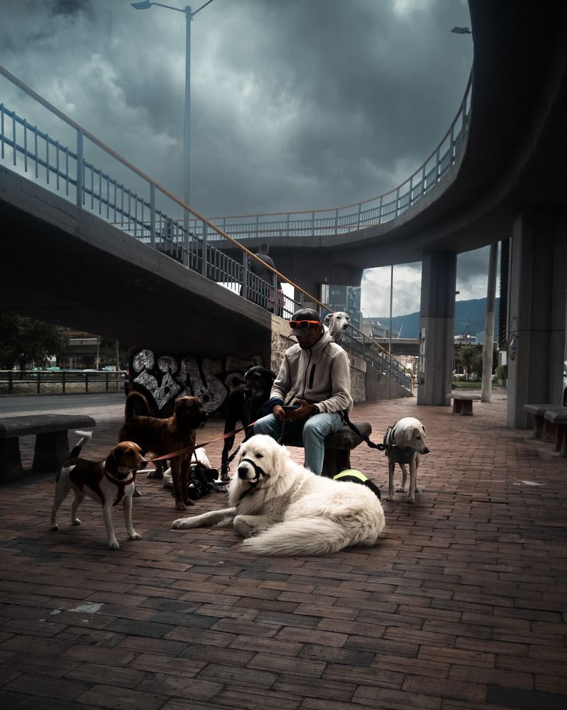 Photograph by Diego Armando Silva Sarmiento