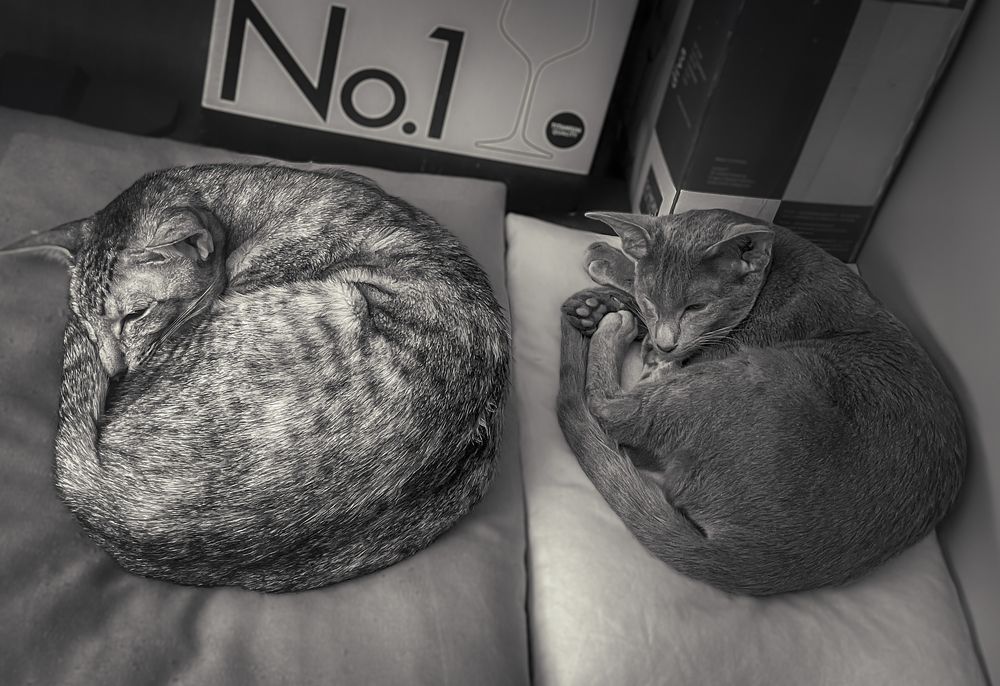 Photograph by Александр Мжельский