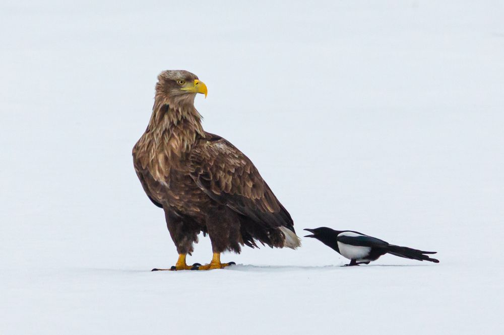 Фотография автора Сергей Ульихин