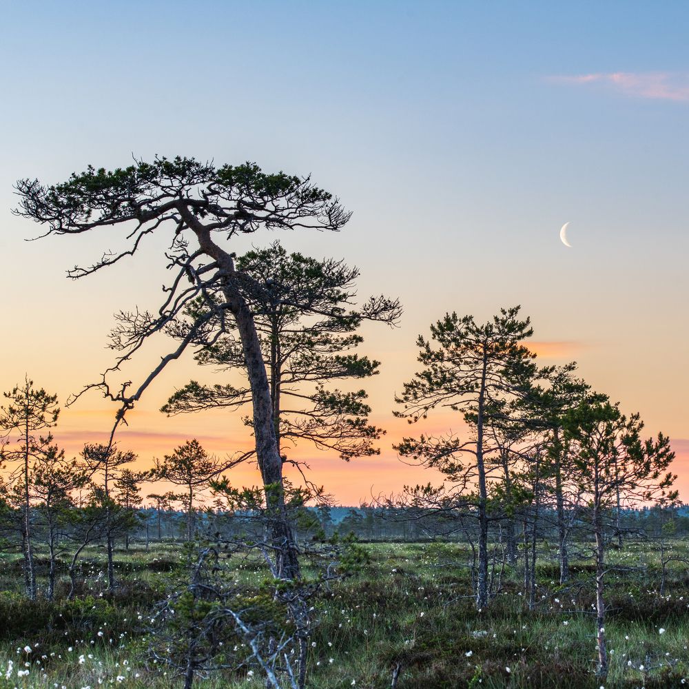 Фотография автора Katrin Lillenthal