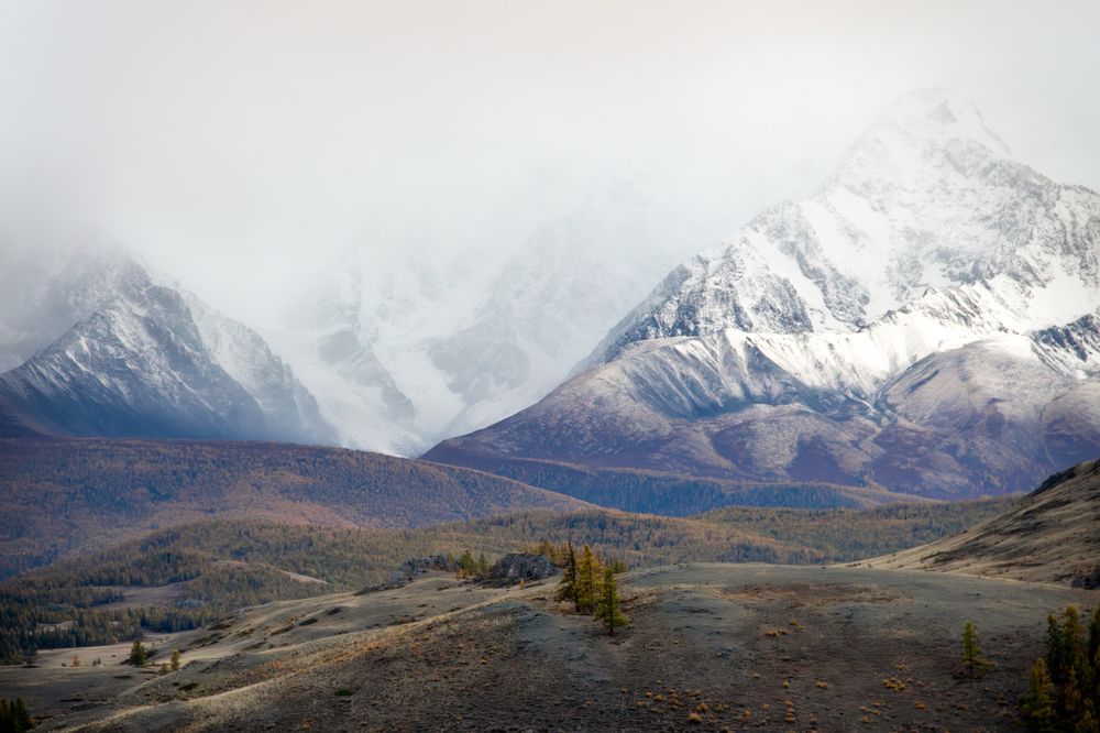 Photograph by Ярослав Чаадаев