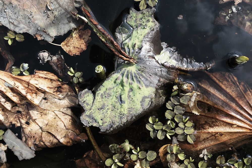 Photograph by Loptev Andrey