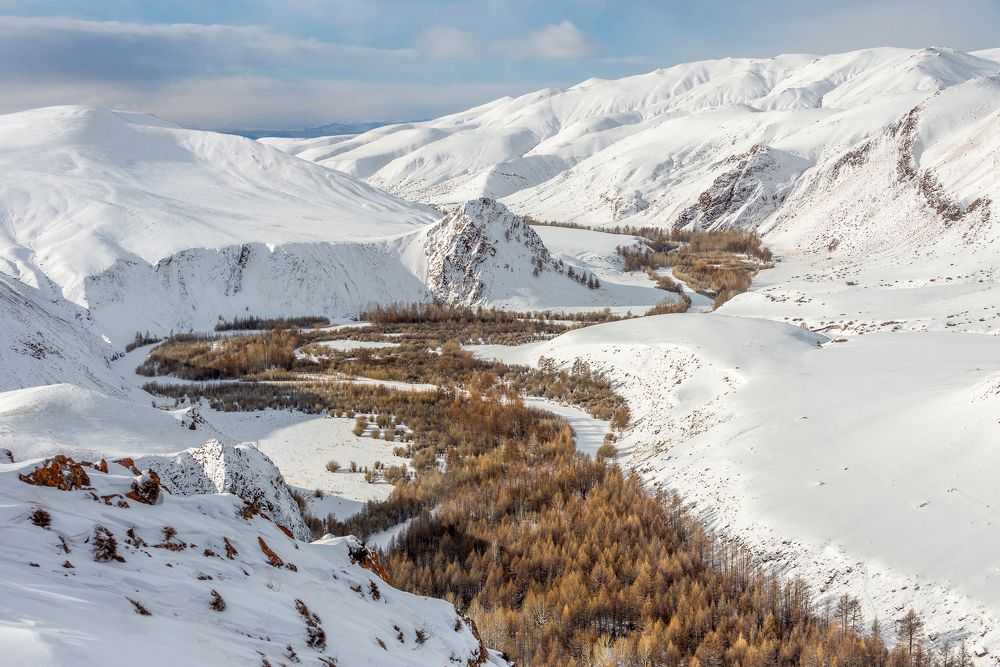 Photograph by Tatyana