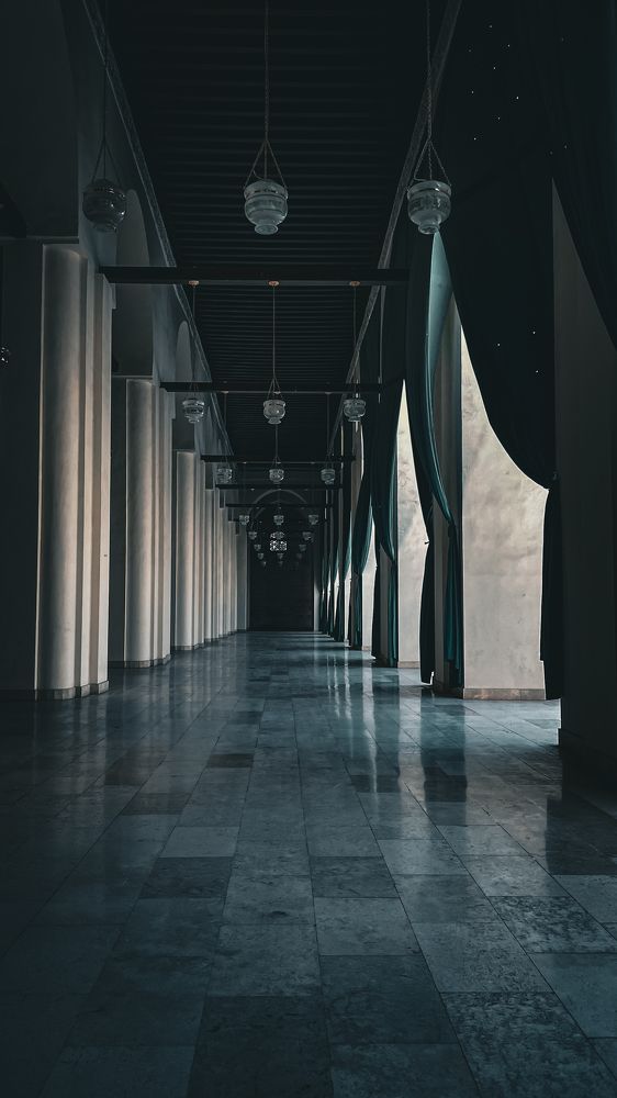 Photograph by عمر خالد الصياد