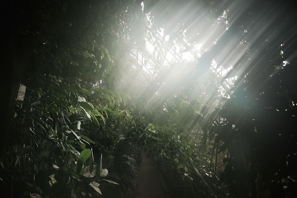 Photograph by Loptev Andrey