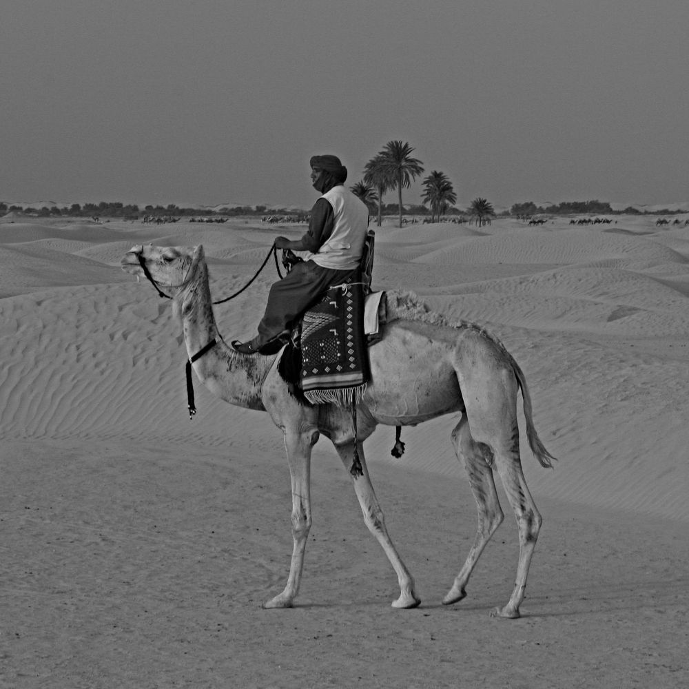 Пейзаж с человеком