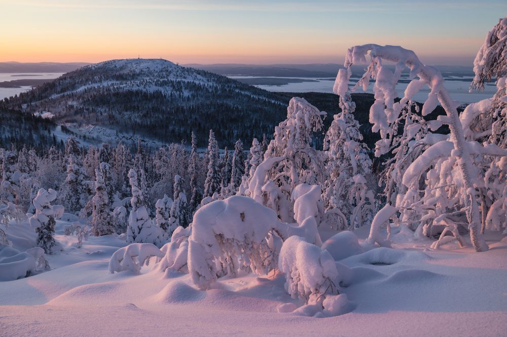 Photograph by Diana Karp