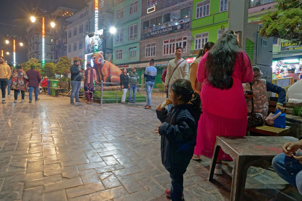 Фотография автора Mahmudul Hasan