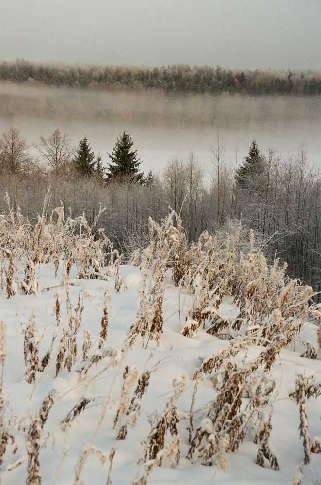 Photograph by Ирина Иванова