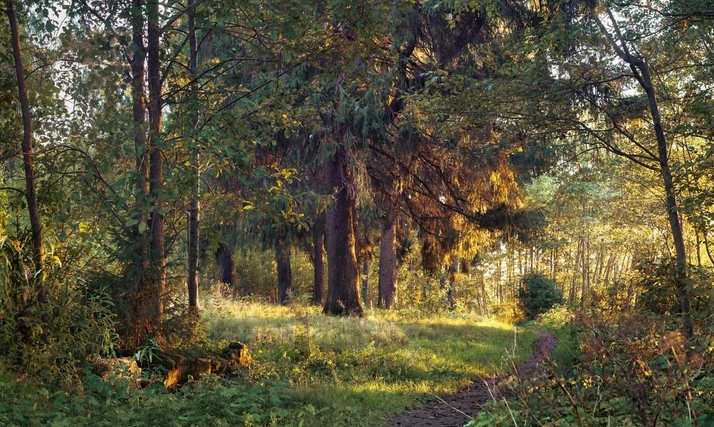 Photograph by Ольга Воронова