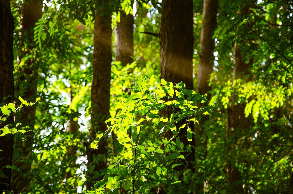 Фотография автора Анастасия Роговцова