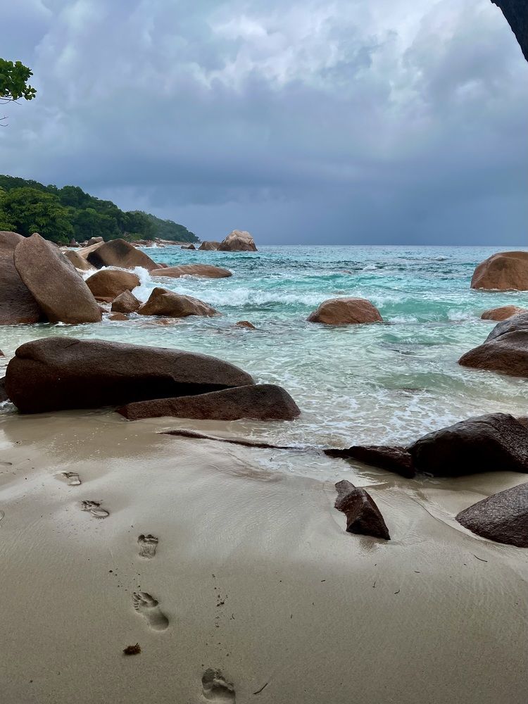 Photograph by Елена Ковалева