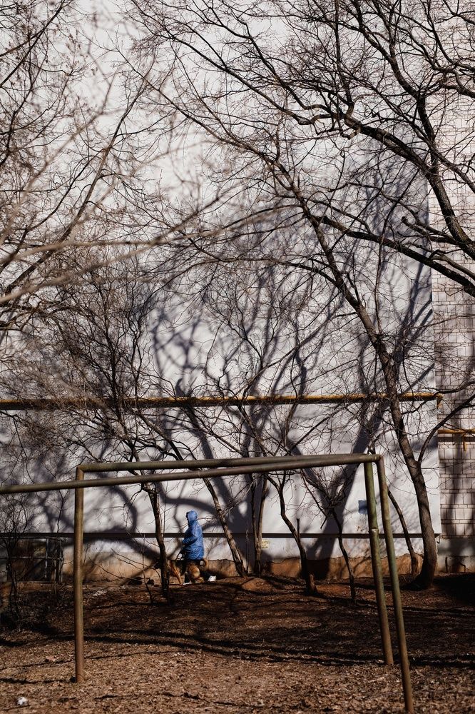 Фотография автора Тема Цезарь