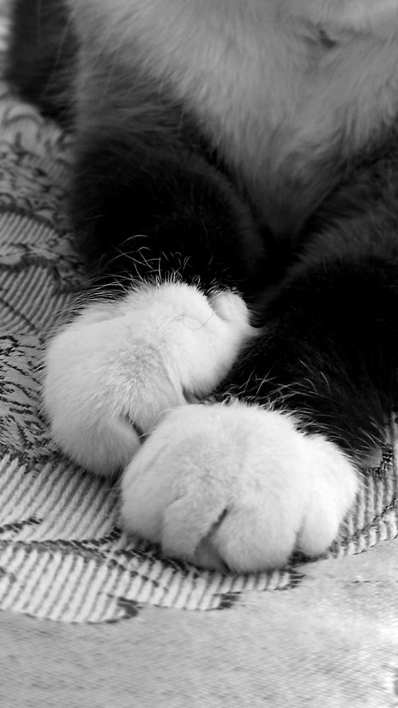 Photograph by Елена Кадаева