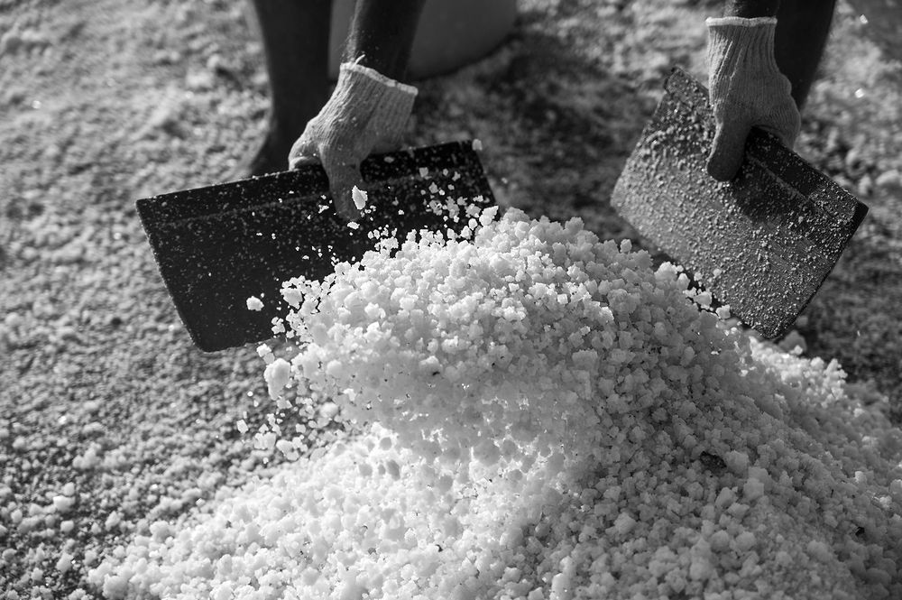 The White Gold Workers of Mumbai