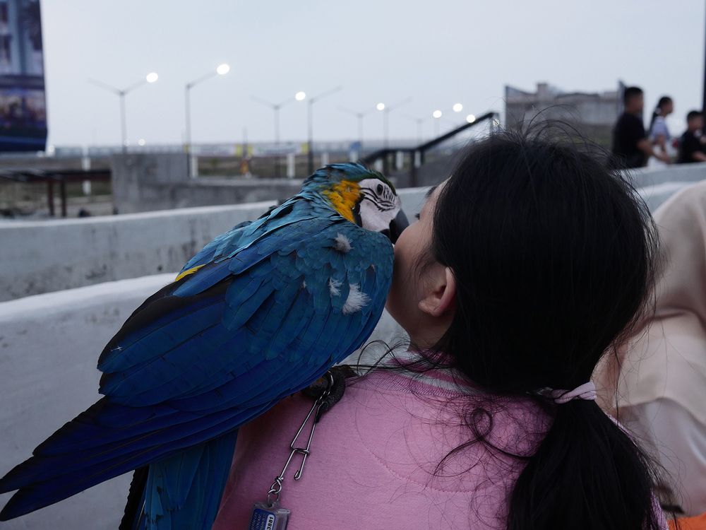 Photograph by Klaus Dengen