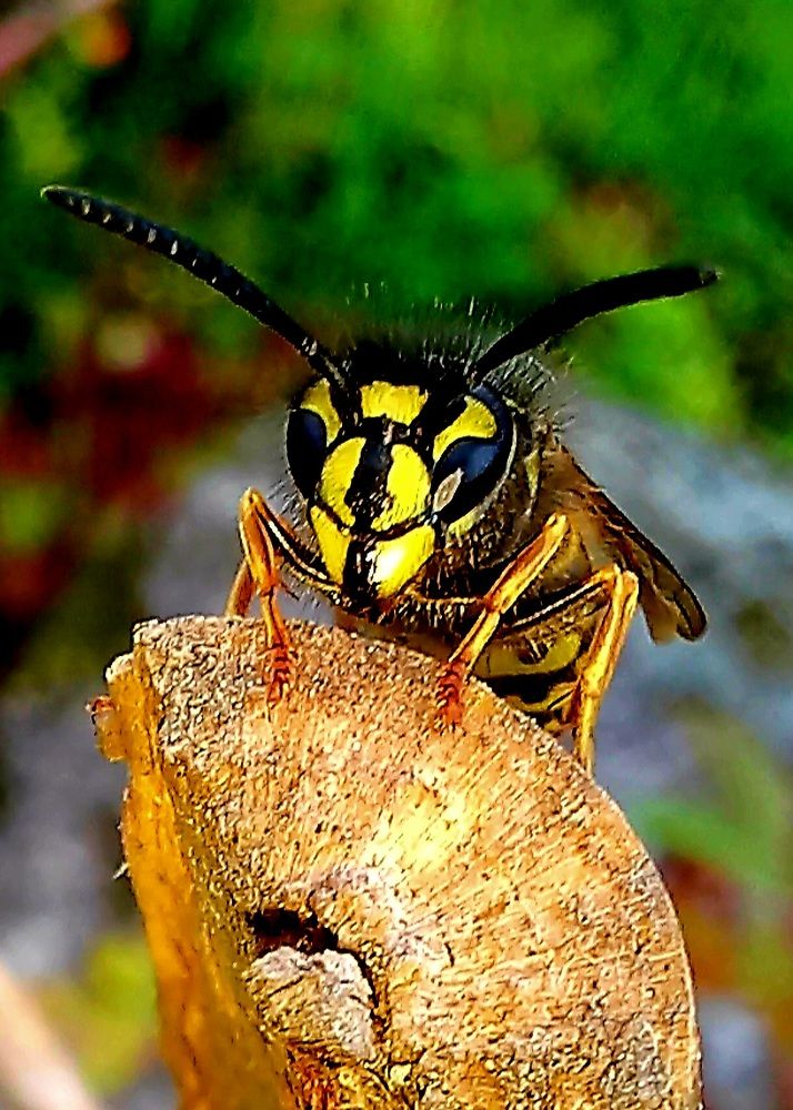 Photograph by Евгений Савулькин