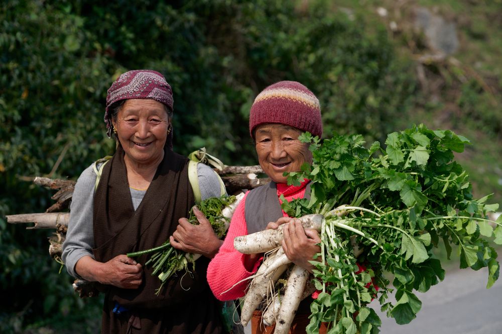 Фотография автора Mahmudul Hasan