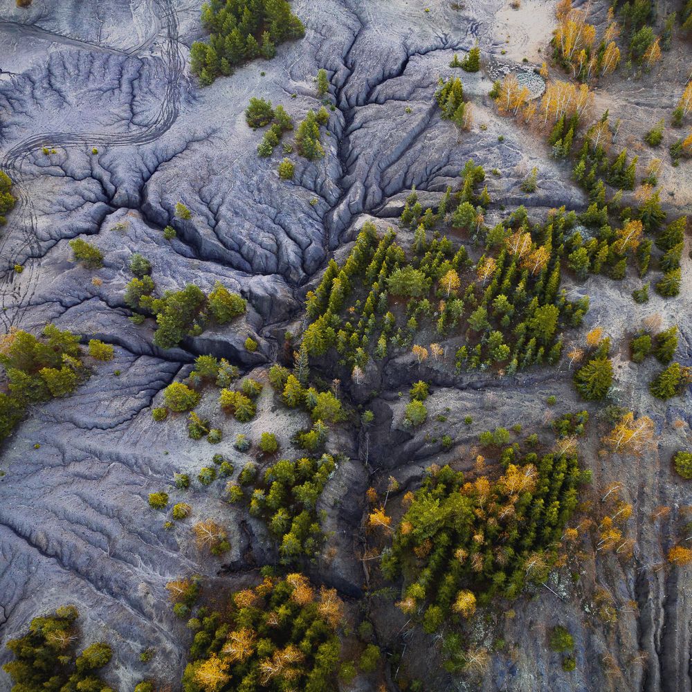 Photograph by Сильва Татьяна