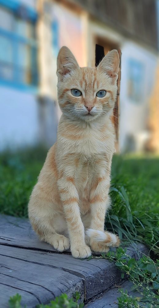 Photograph by Майя Витвицкая