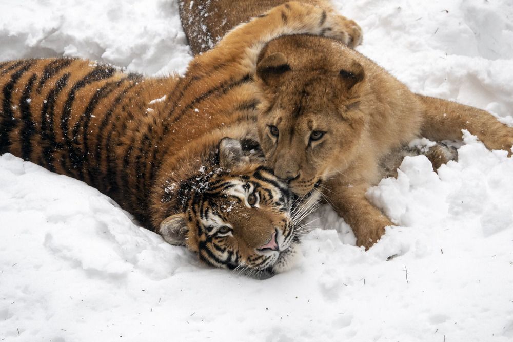 Photograph by Светлана Соболева