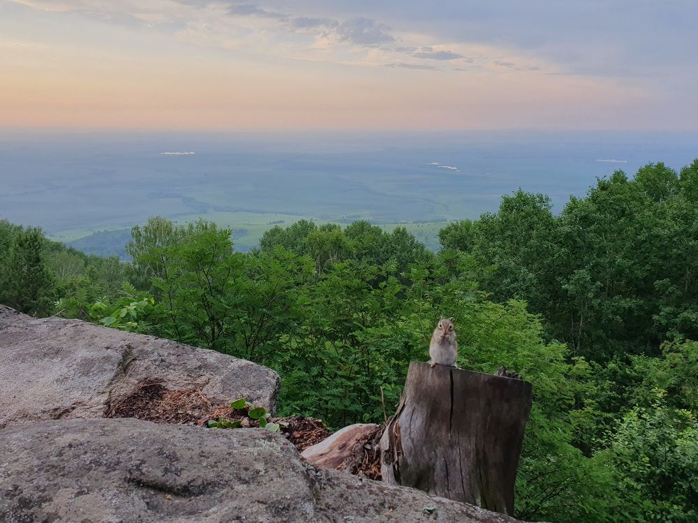 Photograph by Антон Жирнов