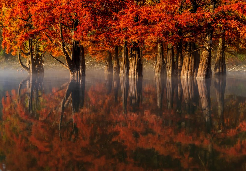 Photograph by Валерий Одинцов