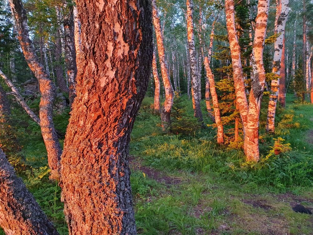 Photograph by Антон Жирнов