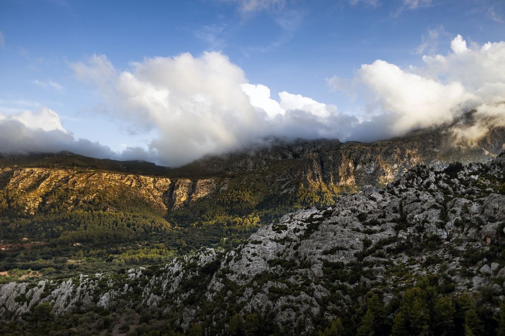 Фотография автора Inga Ivanova