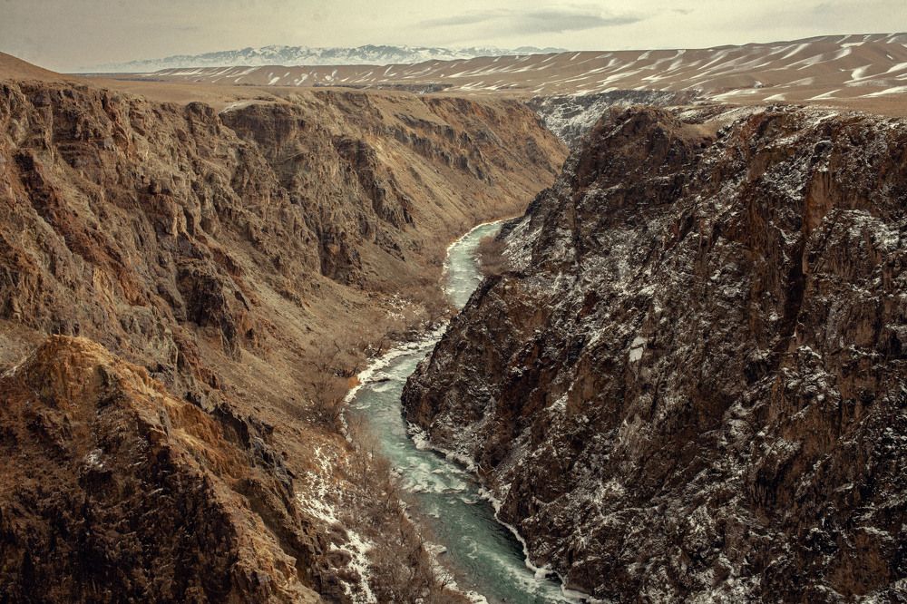 Photograph by Радионов Дмитрий