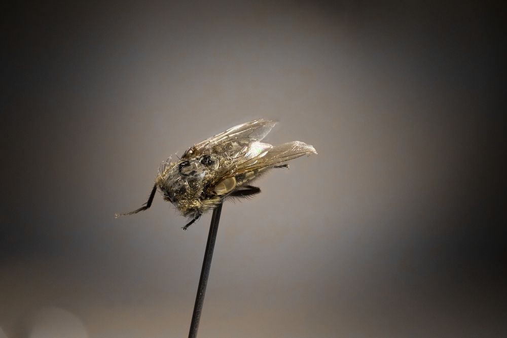 Photograph by Илья Кулаков