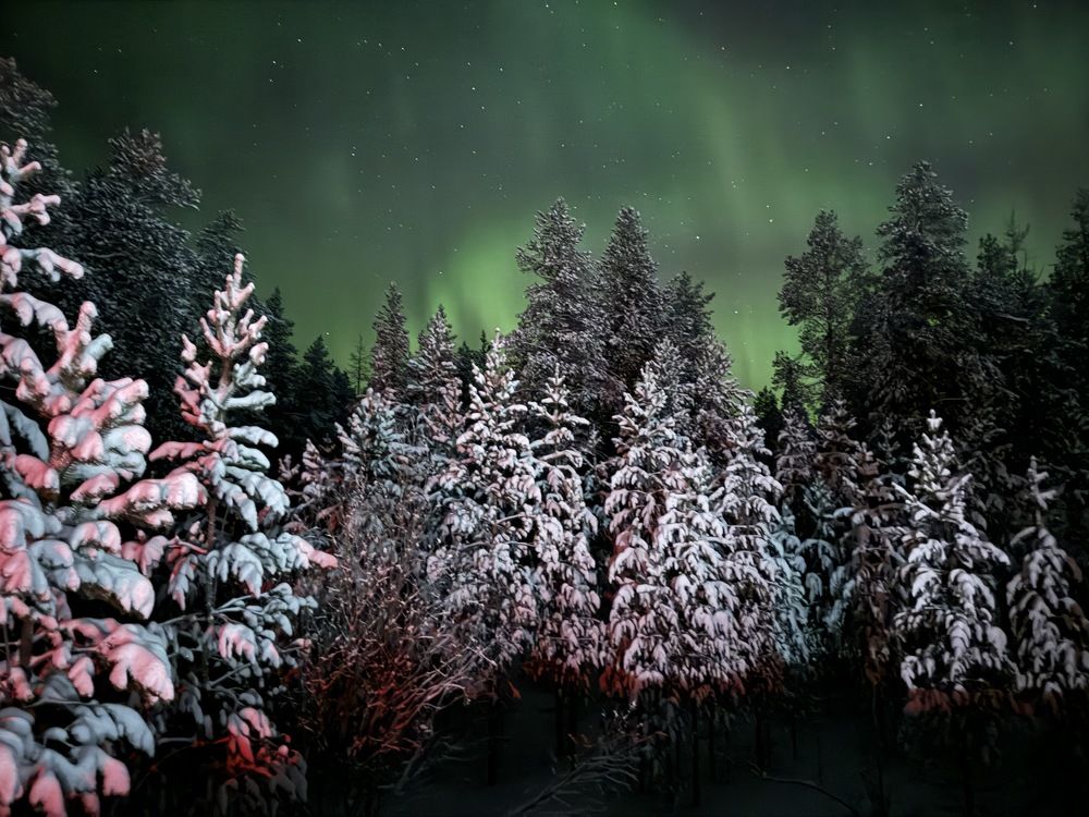 Photograph by Антон Жирнов