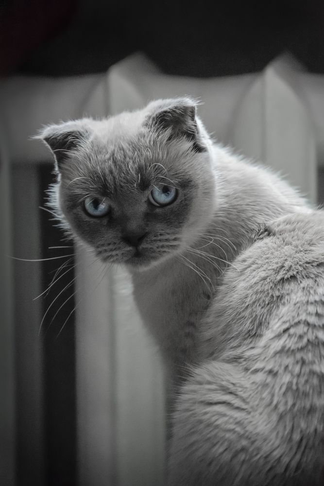 Фотография автора Наталия Шарова