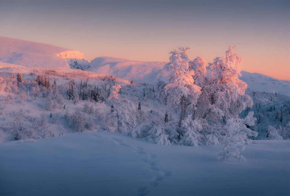 Photograph by Алексей Соколенко