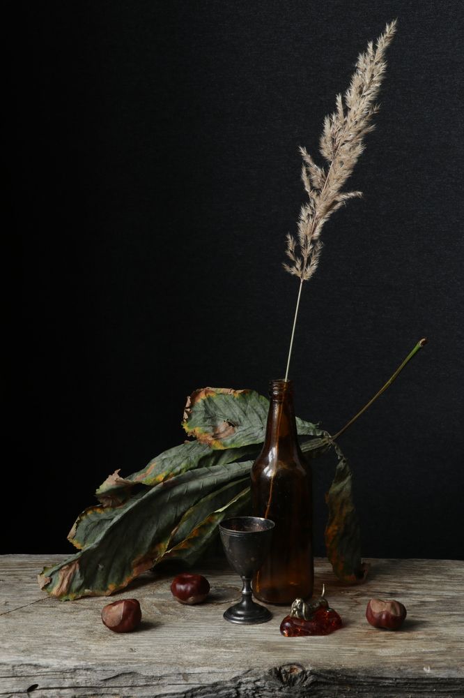 Photograph by Елена Коврижных