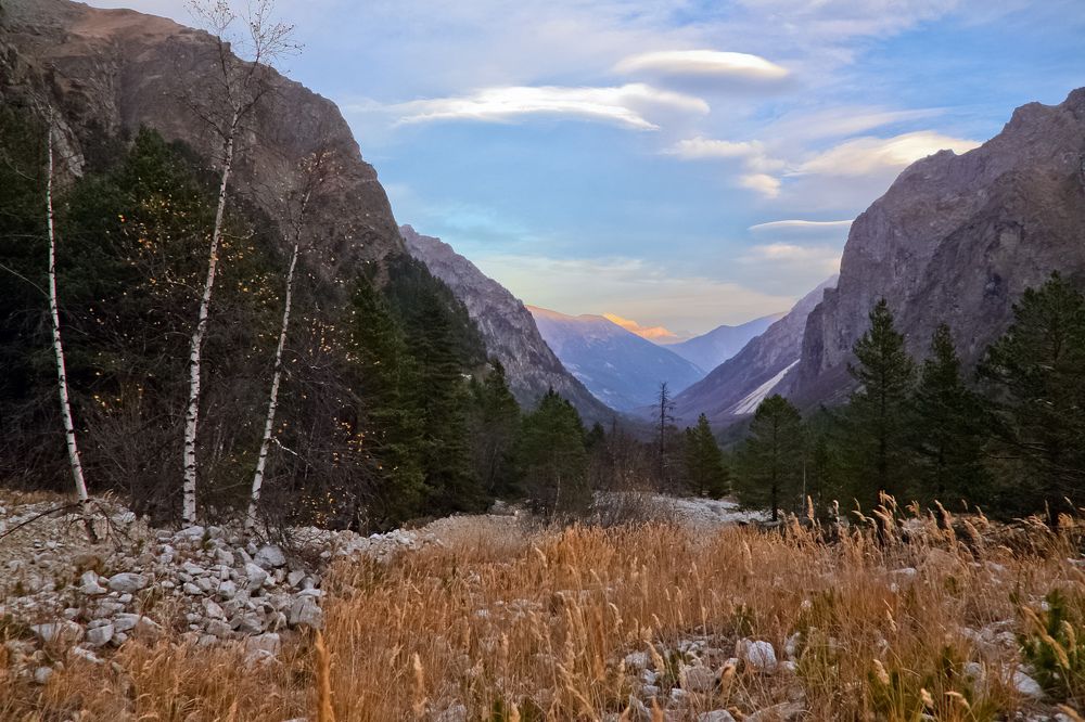 Фотография автора Ольга Виноградова