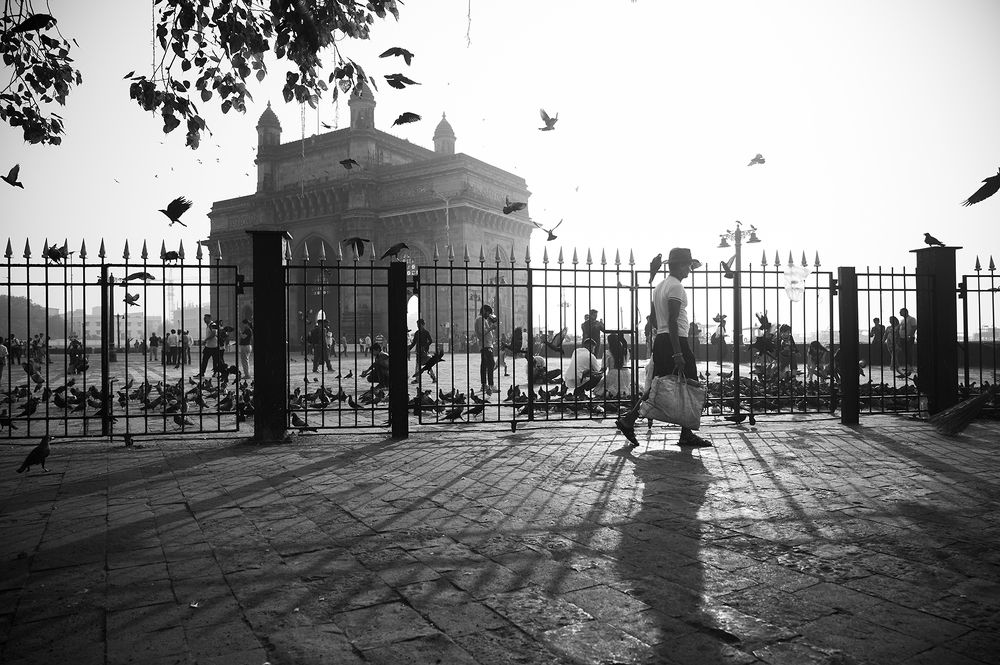 Life- Light and Shadows