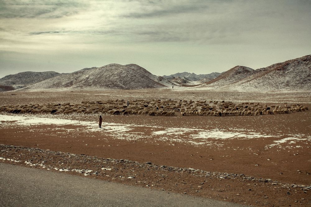 Photograph by Радионов Дмитрий