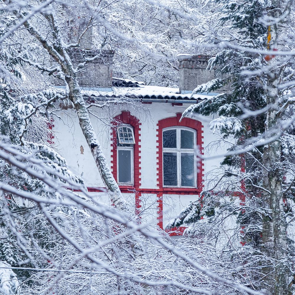 Photograph by Andrei Iliushenko