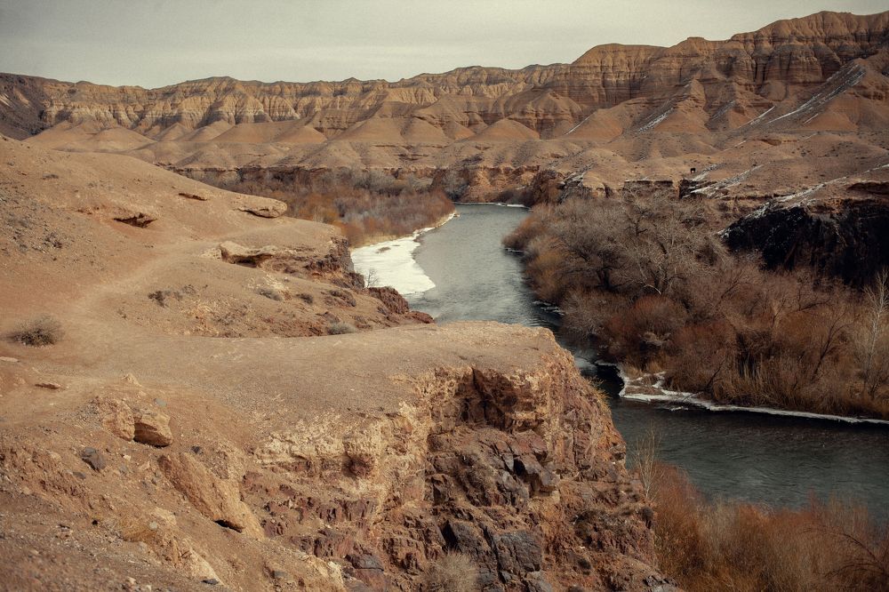 Photograph by Радионов Дмитрий