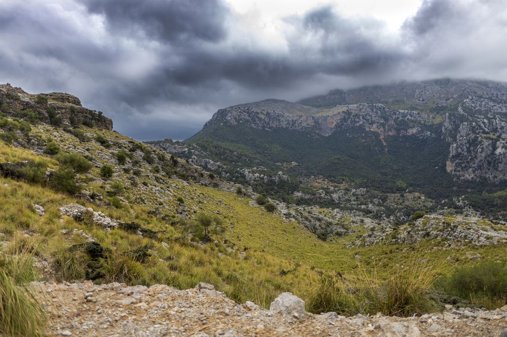 Фотография автора Inga Ivanova