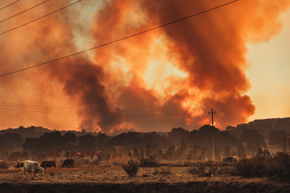 Photograph by Austin