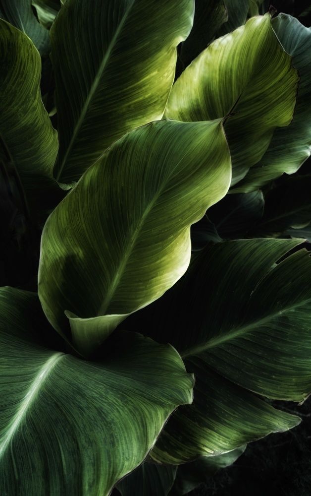 Photograph by Людмила М