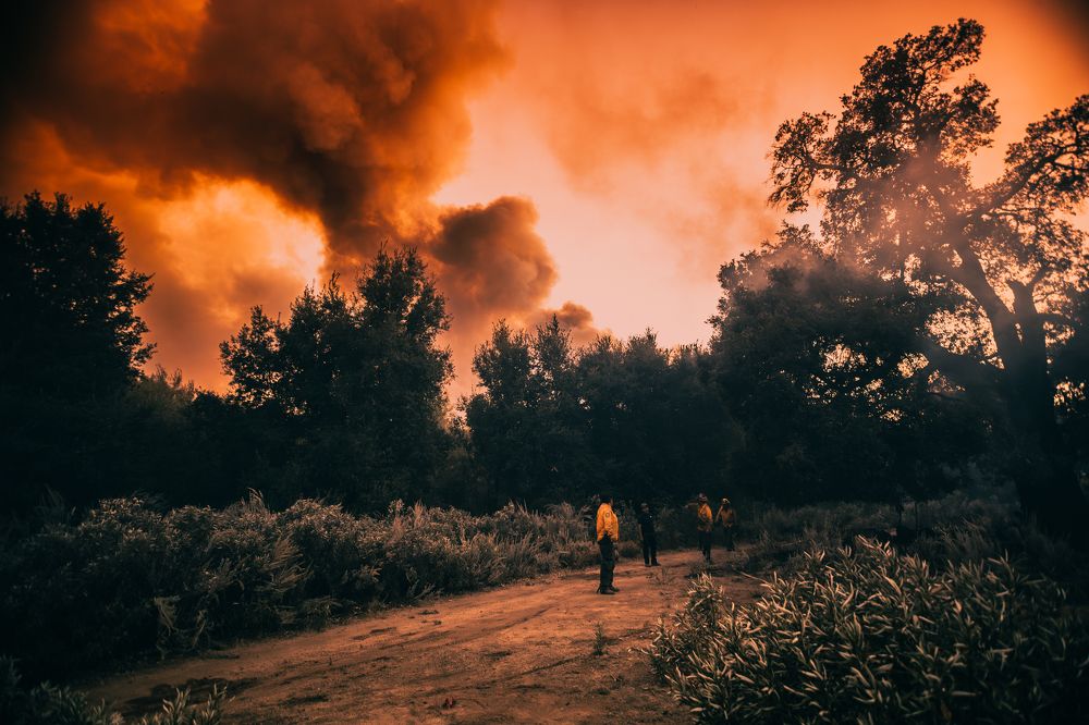 Photograph by Austin