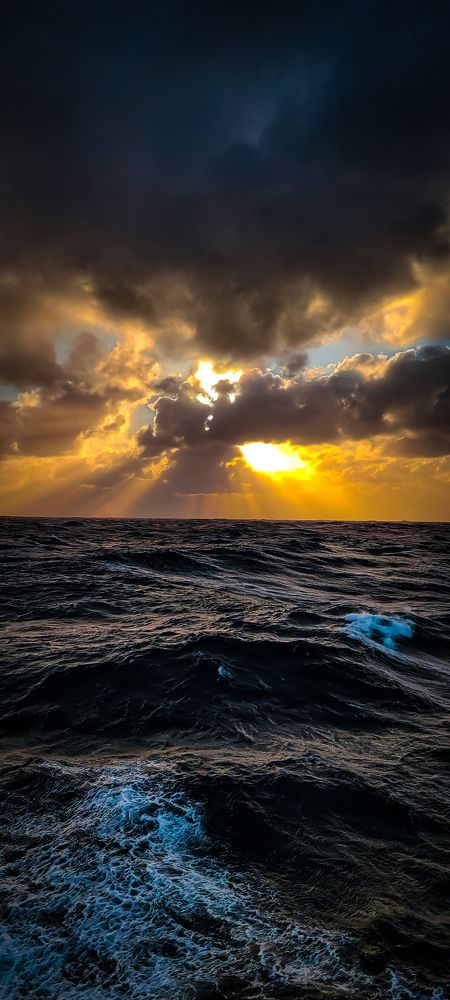 Photograph by Nikolay Nikolay