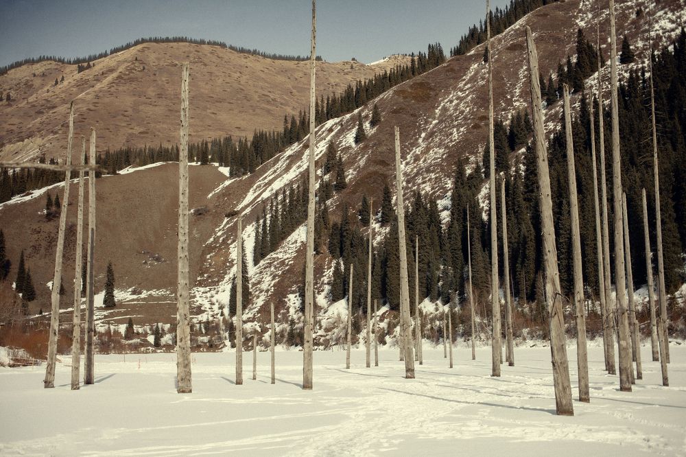 Photograph by Радионов Дмитрий