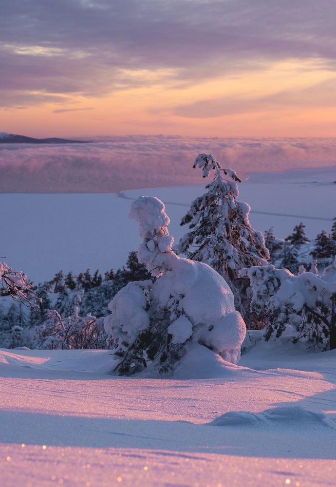 Photograph by Diana Karp