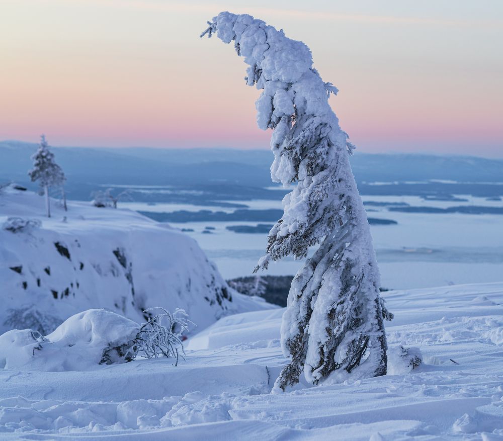 «На севере диком стоит одиноко…»
