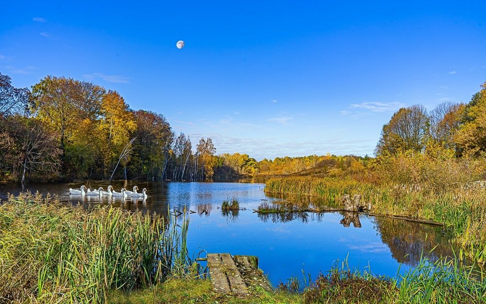 Фотография автора Николай Бологов