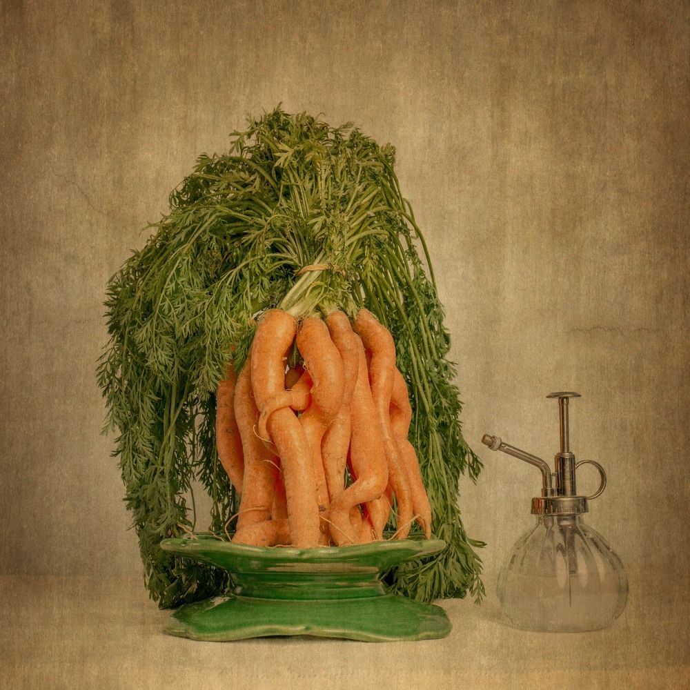 Photograph by Acrement Valentina